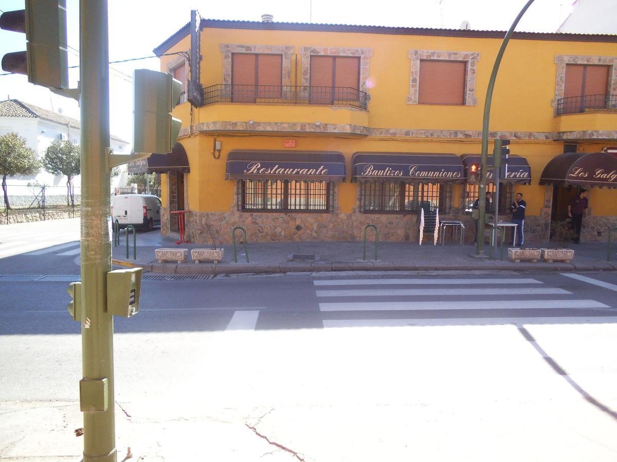 Hostal Los Galgos Yepes Exteriér fotografie